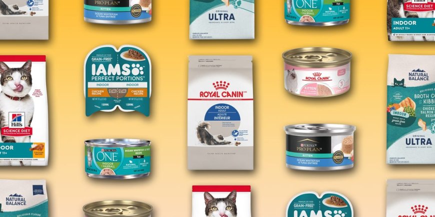 The best indoor cat foods in 2024 --[Reported by Umva mag]