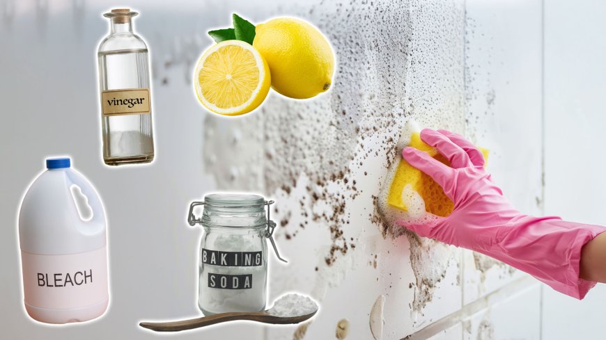 My top buys for as little as 30p to keep mould and damp at bay this winter as a cleaning expert --[Reported by Umva mag]