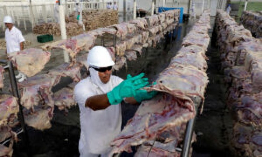 Meat imports up 7.84% by volume in first 7 months --[Reported by Umva mag]