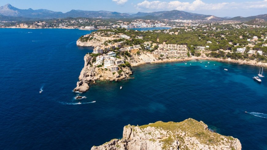 Brit man found dead off Majorca coast after going diving near holiday resort Magaluf wearing just shorts and mask --[Reported by Umva mag]