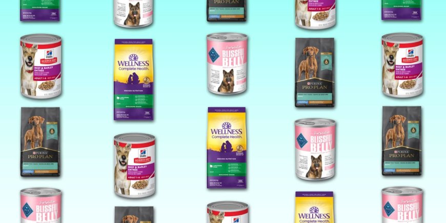 The best dog food of 2024, reviewed with nutrition advice from vets --[Reported by Umva mag]