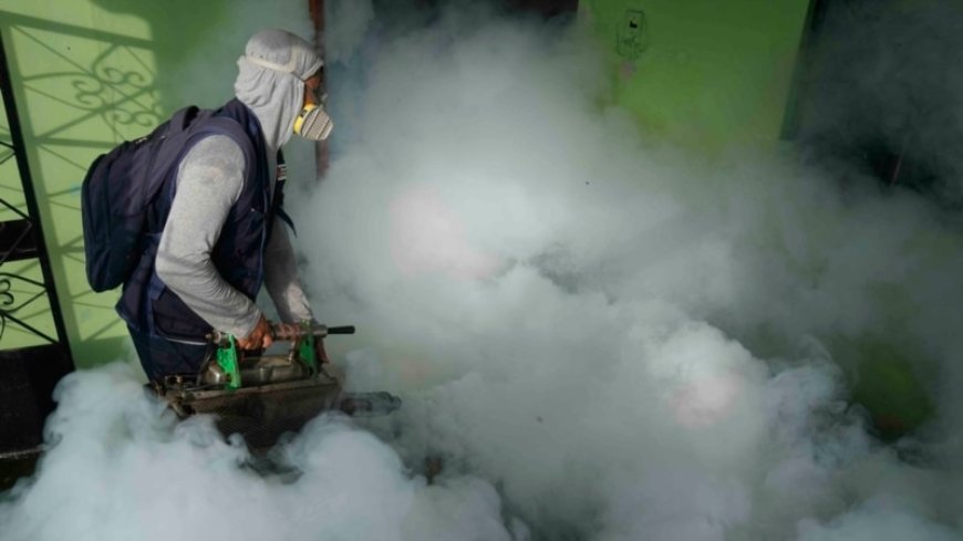 WHO launches plan to tackle growing threat of dengue, other diseases --[Reported by Umva mag]