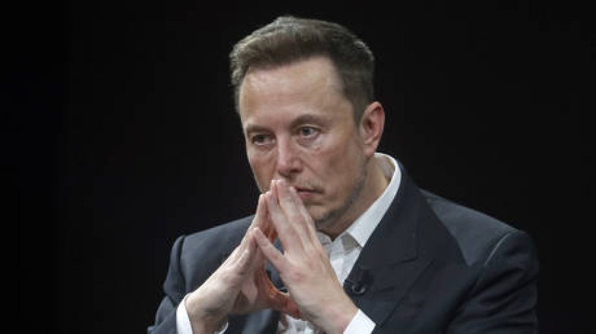 Musk slams US Democrats over freedom of speech --[Reported by Umva mag]