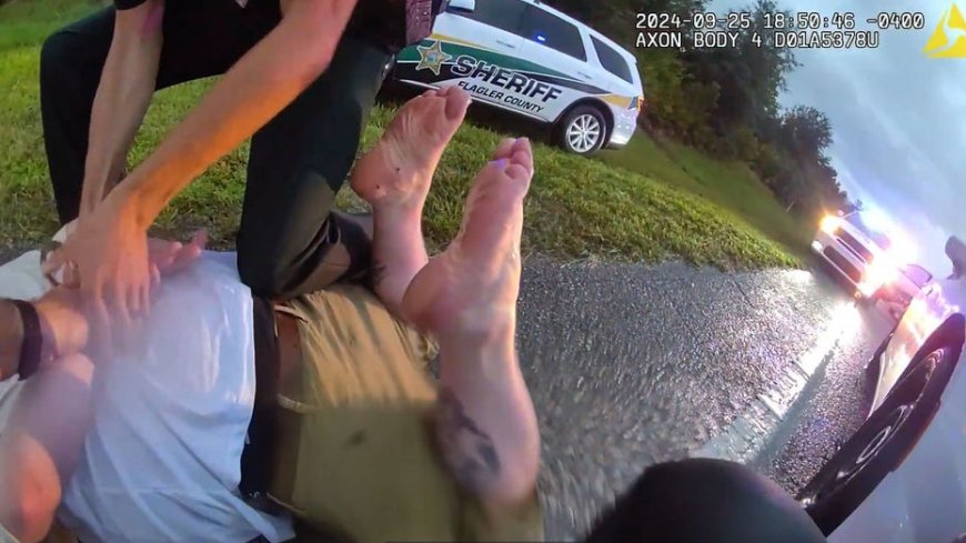 Florida deputies pursue suspect in one of the 'slowest chases in history' after hit-and-run, authorities say --[Reported by Umva mag]