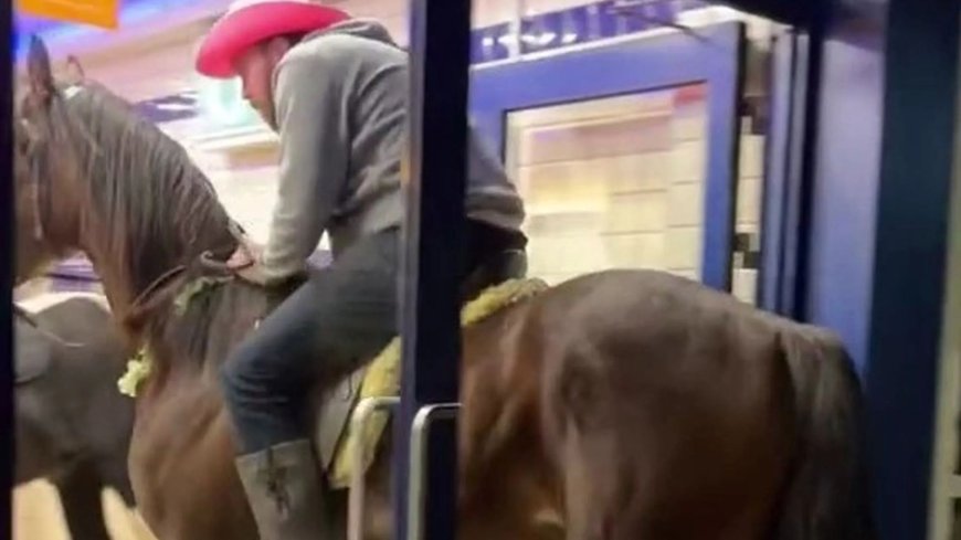 Hungry customer left gobsmacked as two blokes riding giant HORSES stroll into local chip shop --[Reported by Umva mag]