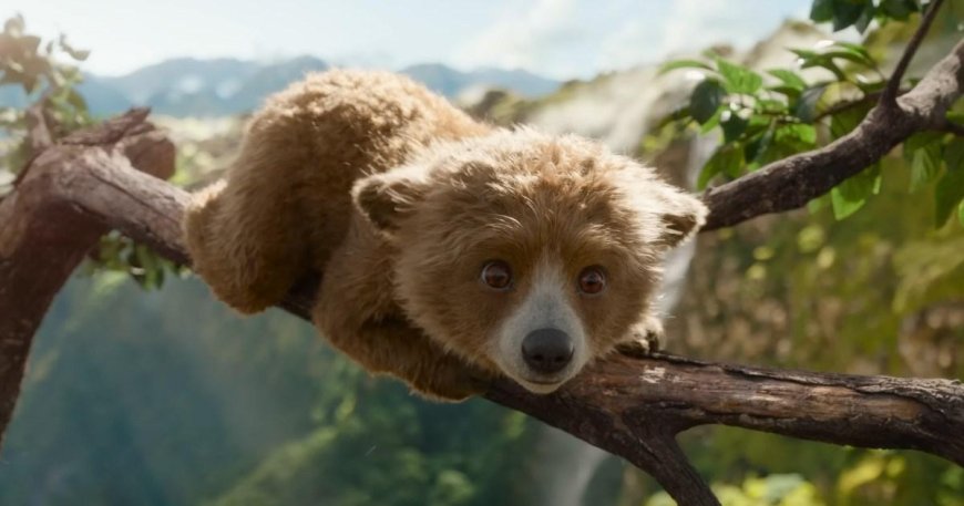 Baby Paddington Bear is soothing souls with his cuteness in latest trailer --[Reported by Umva mag]