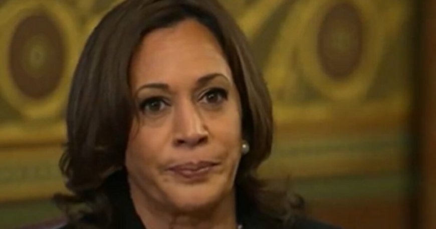 REPORT: Kamala Harris ‘Bleeding Support’ From Key Voter Blocs in Democrat Coalition --[Reported by Umva mag]