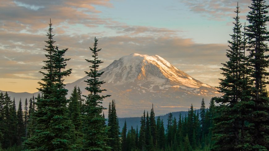 Record spike in earthquakes at Washington's 'high threat' volcano sends researchers scrambling for answers --[Reported by Umva mag]