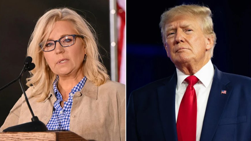 Trump calls Liz Cheney a 'low IQ war hawk' after appearance in support of Harris --[Reported by Umva mag]