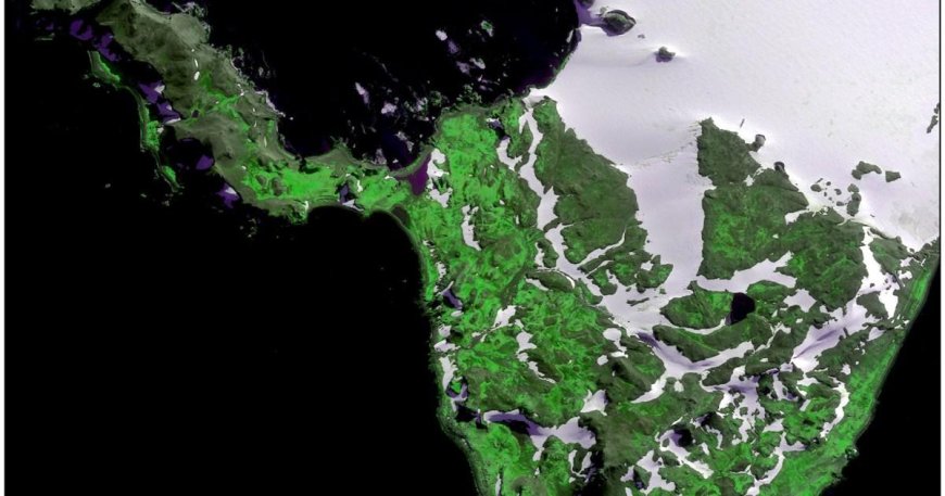 Worrying satellite image shows Antarctica is turning green at a ‘dramatic’ rate --[Reported by Umva mag]