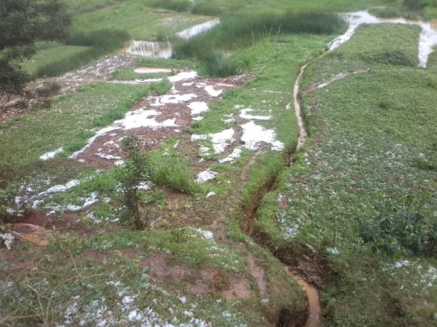 Hailstorm ravages crops in Gakenke, forecaster warns of heavy rains in October --[Reported by Umva mag]