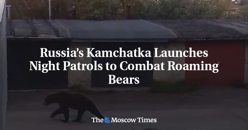 Russia’s Kamchatka Launches Night Patrols to Combat Roaming Bears --[Reported by Umva mag]