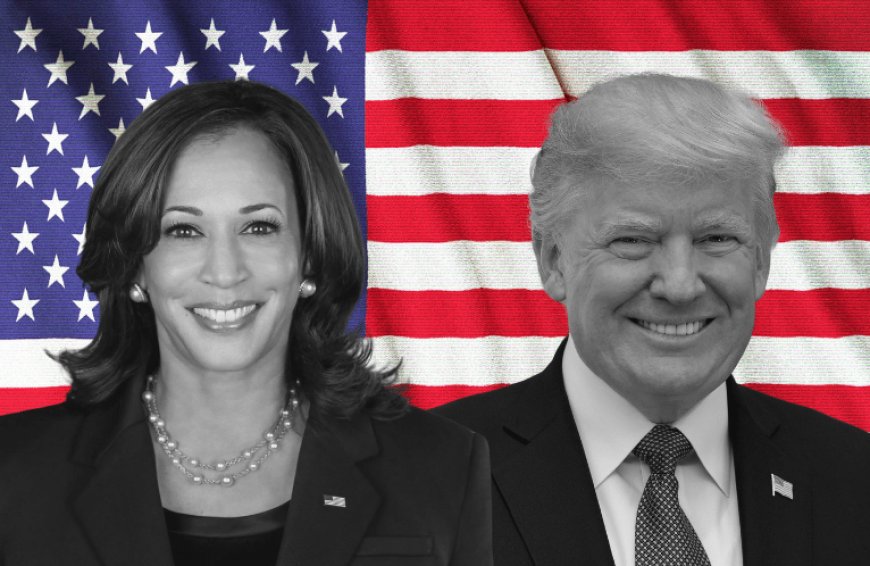 Strategic Calculations: China’s Dilemma Between Trump and Harris --[Reported by Umva mag]