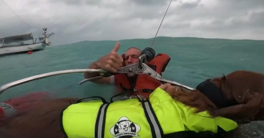 Moment sailor and his dog rescued from sinking boat during Hurricane Helene --[Reported by Umva mag]