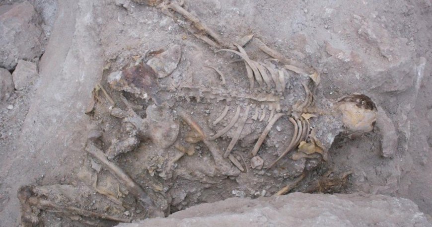 Final screams of mummified miners frozen in time for 2,500 years --[Reported by Umva mag]