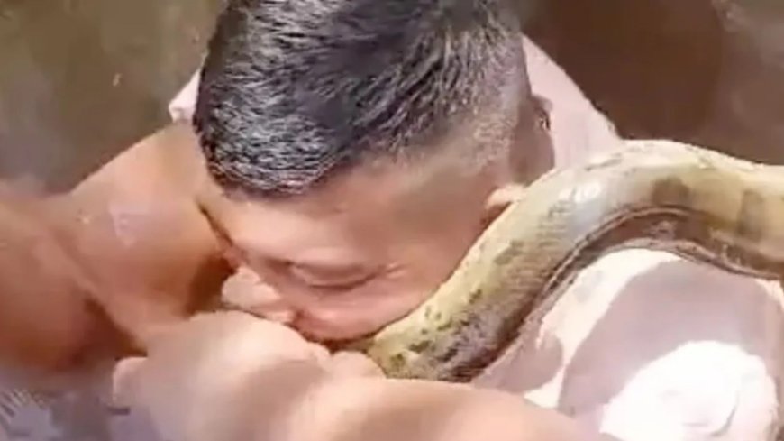 Watch moment desperate man BITES giant anaconda to stop himself from being crushed to death --[Reported by Umva mag]