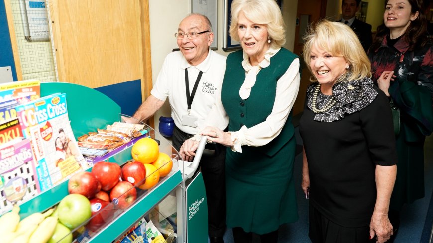 Let’s give Jabs Army another big push and volunteer on hospital wards, says West End legend Elaine Paige --[Reported by Umva mag]