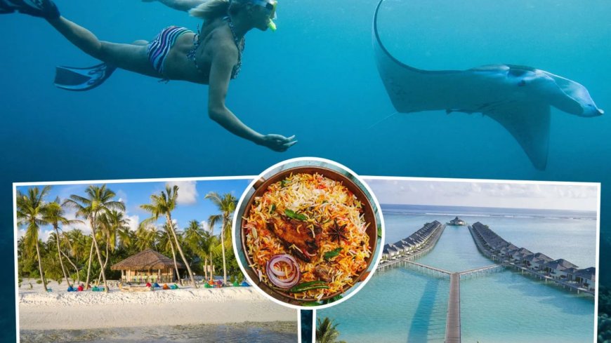 I went on a child-friendly holiday to the Maldives – with manta ray feeding, kid discos and beachfront restaurants --[Reported by Umva mag]