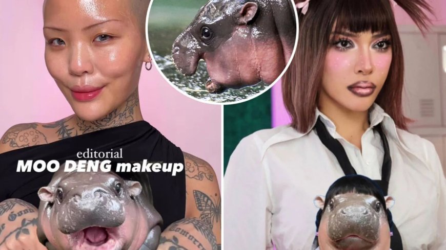 Moo Deng Tiktok beauty trend: How to achieve viral rosy pink cheek look just like the baby pygmy hippo --[Reported by Umva mag]