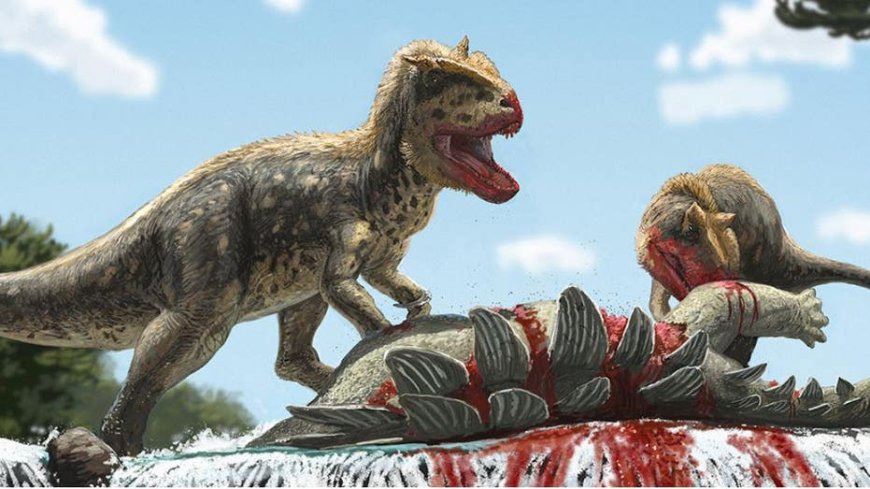 New dinosaur species similar to T. rex found in Asia: 'One of the most significant' discoveries --[Reported by Umva mag]