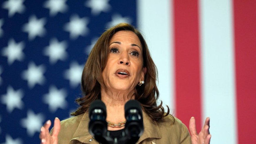 Beware Kamala's 'fair share' lie on taxes --[Reported by Umva mag]