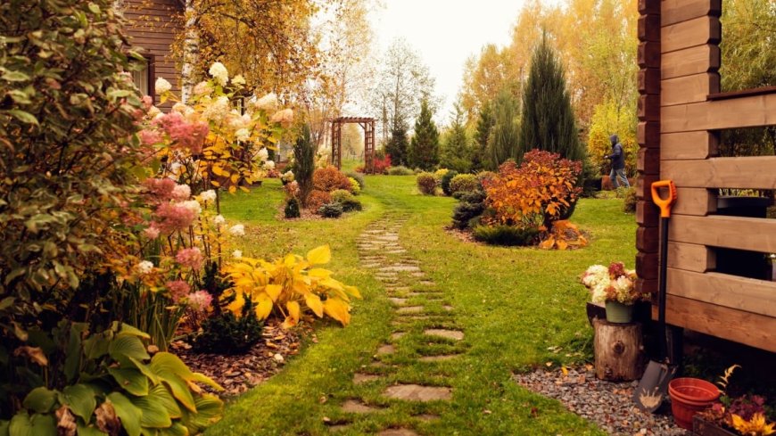 All the Gardening Tasks You Should Do in October --[Reported by Umva mag]