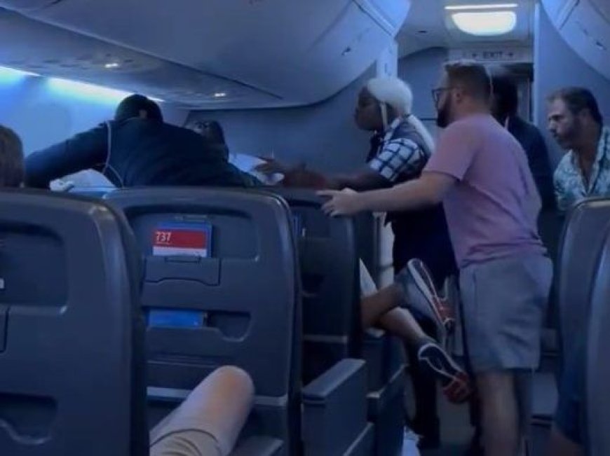 Video shows passengers saving woman from allegedly violent travel companion --[Reported by Umva mag]