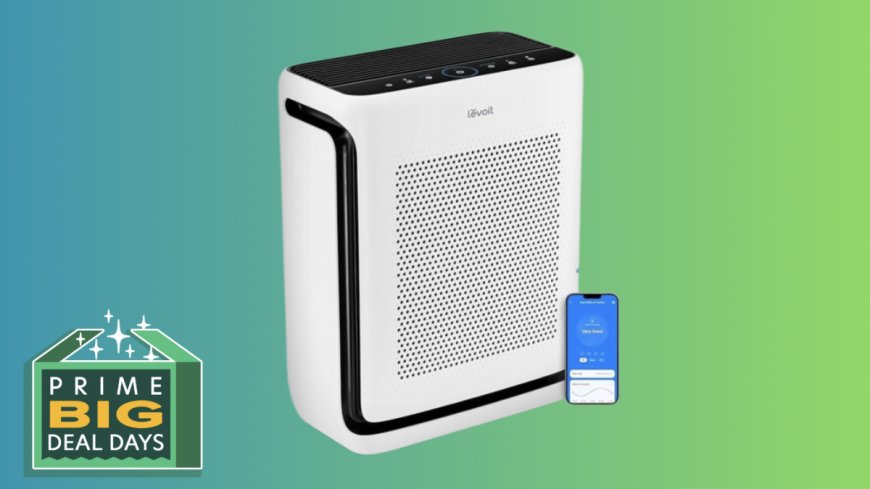 Use Amazon's Early Prime Day Deals to Get an Air Purifier --[Reported by Umva mag]