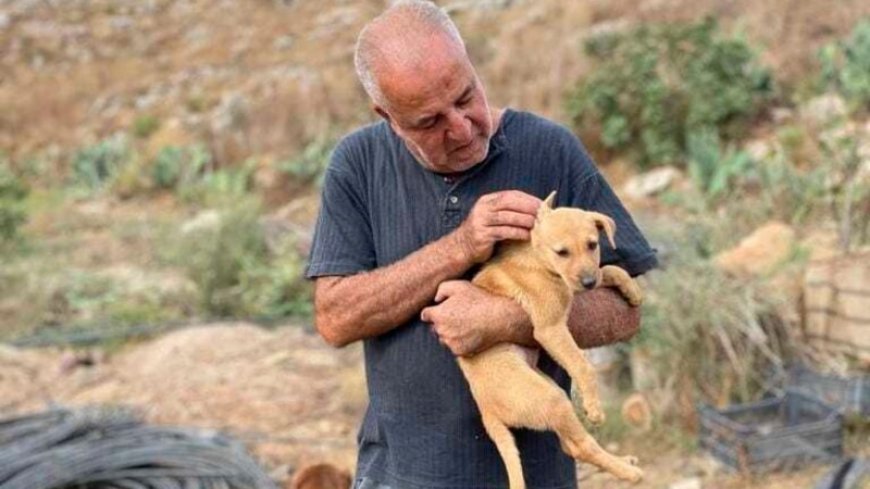 After residents flee Israeli strikes, a man in Lebanon cares for pets left behind --[Reported by Umva mag]