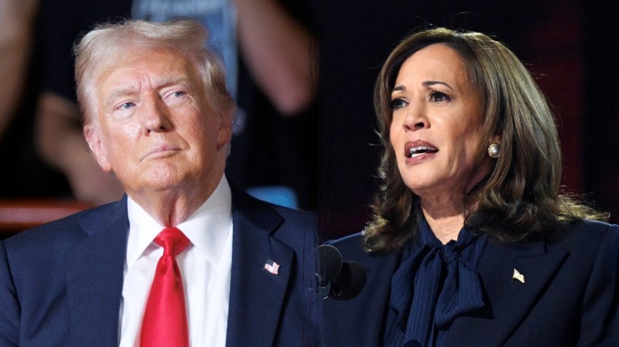 'Tightest race since 2000': Harris-Trump showdown hits final stretch until Election Day --[Reported by Umva mag]