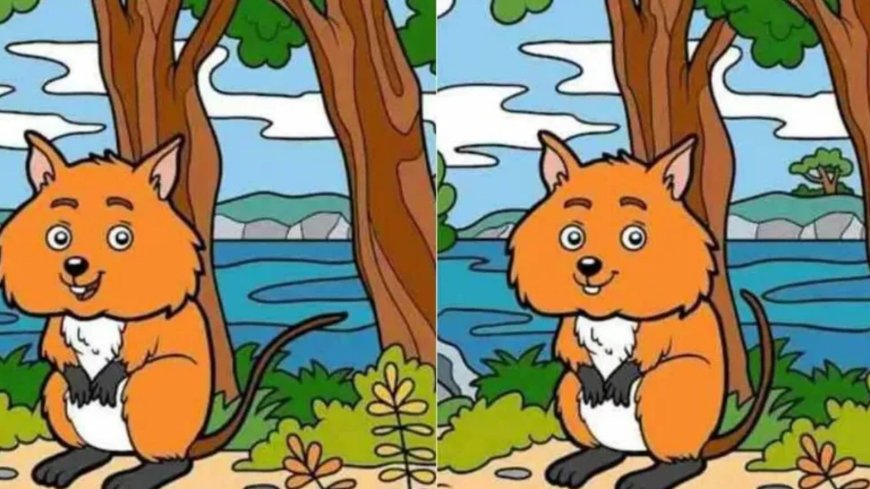 Everyone can see the fox but you have 20/20 vision if you spot the 10 differences between these two scenes in 15 secs --[Reported by Umva mag]