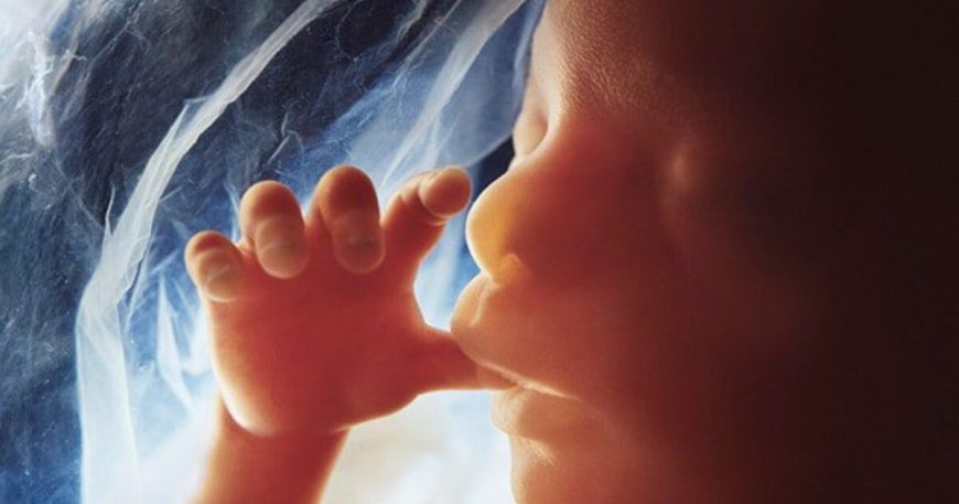 Scientists Sue After Publisher Moves to Suppress Science-Based Evidence of Abortion Dangers --[Reported by Umva mag]