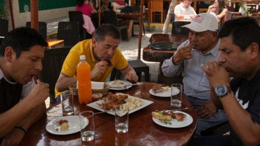 Peru celebrates 2 decades of a fast-growing breed of guinea pigs eaten as a delicacy --[Reported by Umva mag]