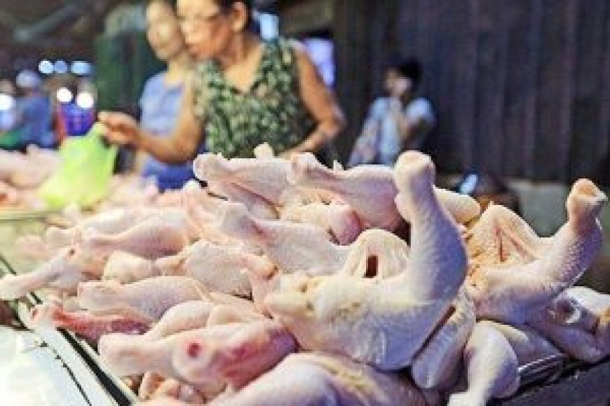 PHL chicken production seen rising 3.8% in 2025 --[Reported by Umva mag]