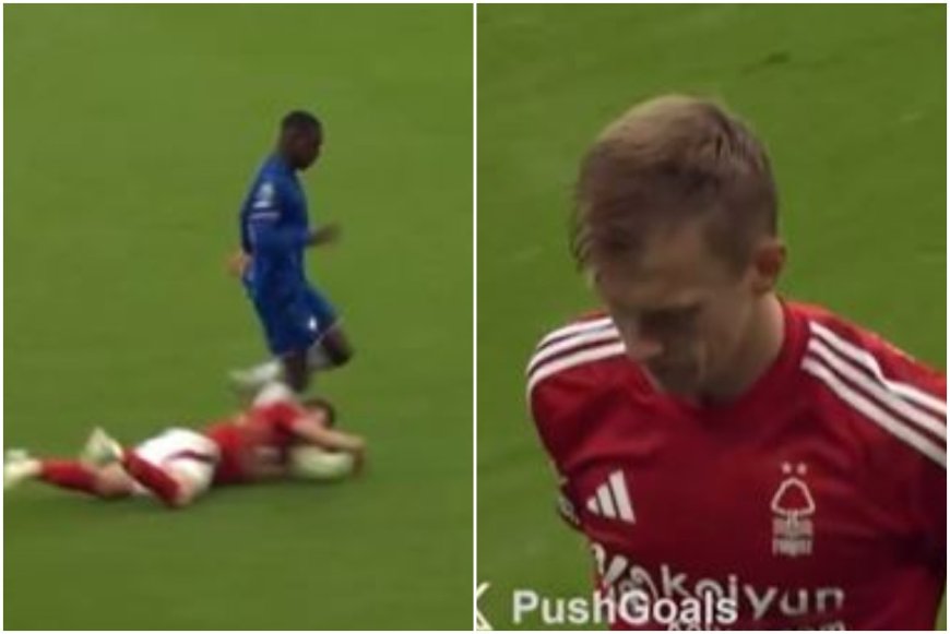 James Ward-Prowse given red card for bizarre and blatant cheating vs Chelsea --[Reported by Umva mag]