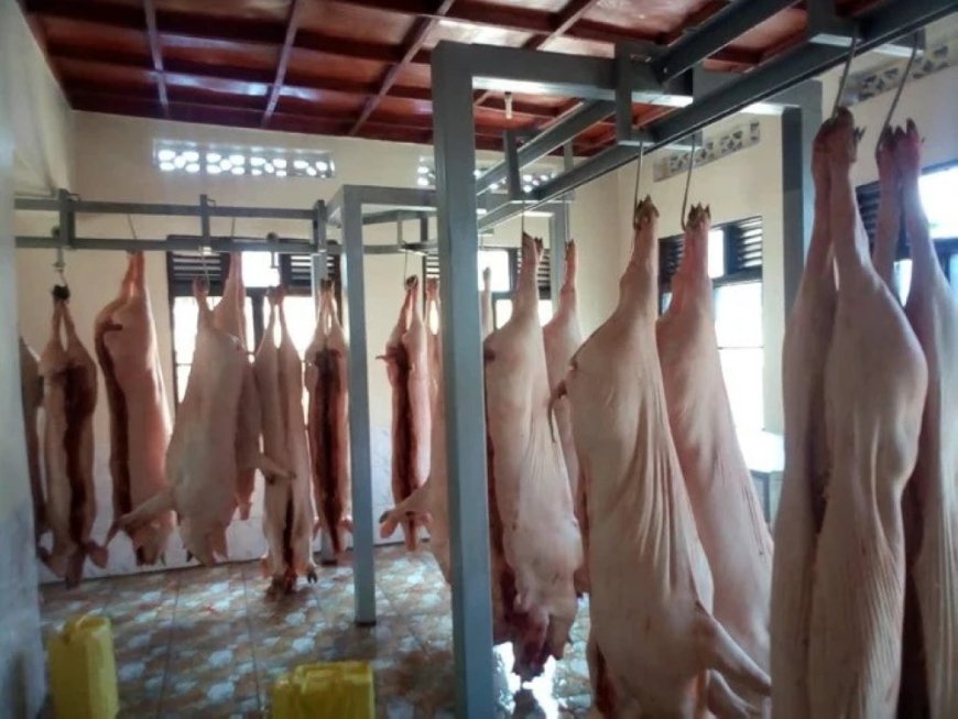 Govt targets increasing pork production --[Reported by Umva mag]