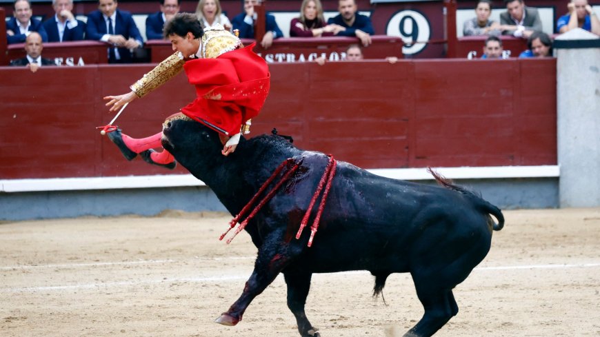 Horror moment bullfighter dubbed ‘world’s worst matador’ is gored by 3,000lb bull & thrown into air like rag doll --[Reported by Umva mag]