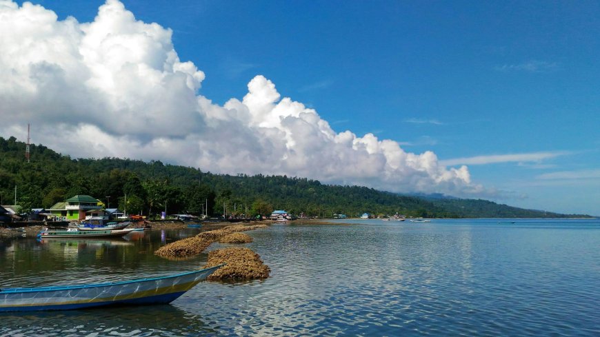 Tourist, 68, eaten by shark after being swept away from diving boat while on dream holiday to Indonesia --[Reported by Umva mag]