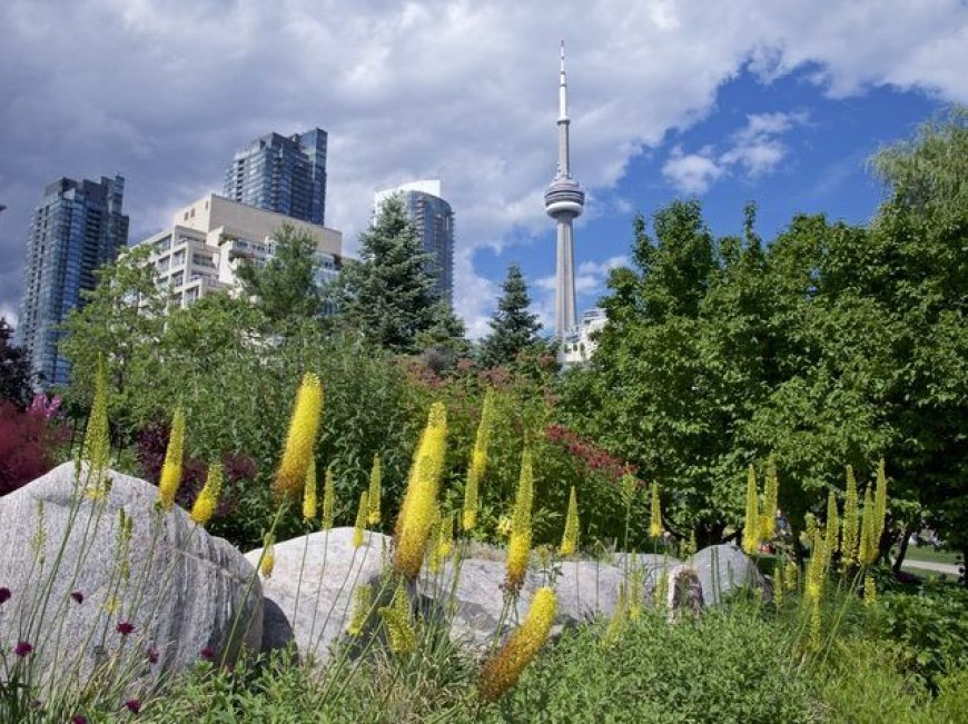 Beads, firewood, food part of Toronto’s $219,500 'climate action' spend --[Reported by Umva mag]