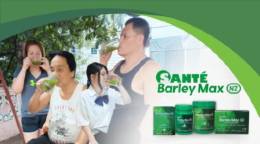 Sante Barley Max: Nutritious barley for the whole family --[Reported by Umva mag]