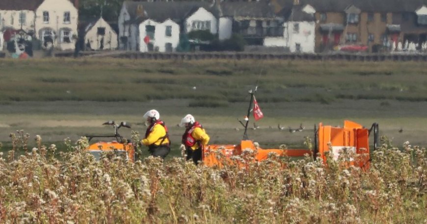 Stranded whale with no chance of survival shot dead in River Thames --[Reported by Umva mag]