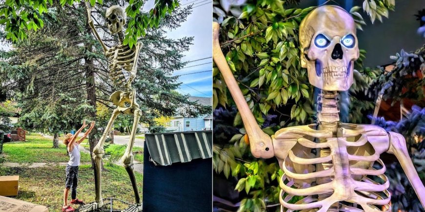 I finally got my hands on The Home Depot's viral 12-foot skeleton, and now my house is a local attraction --[Reported by Umva mag]