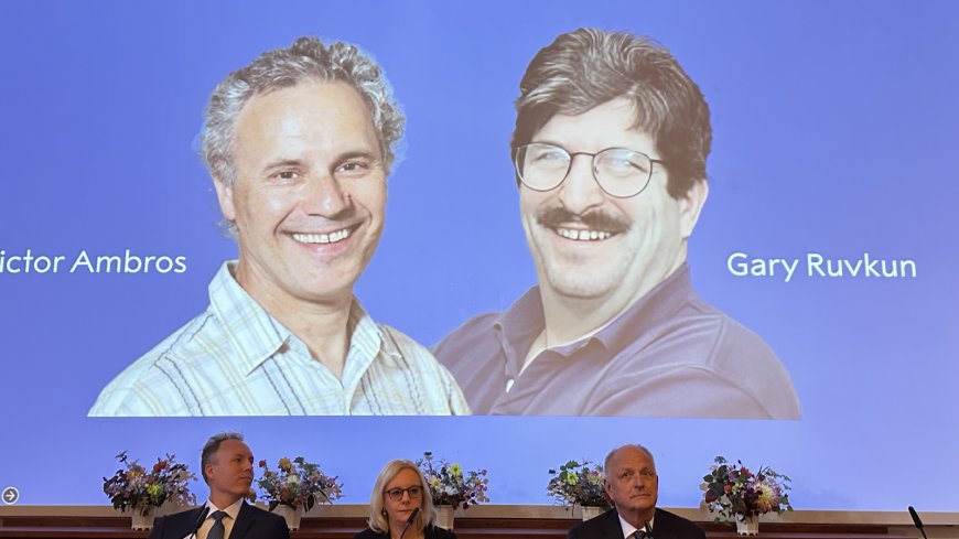 2 scientists snag Nobel in medicine for discovering 'microRNAs' --[Reported by Umva mag]