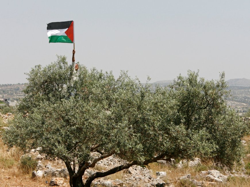 Why Palestinians won’t leave their land --[Reported by Umva mag]