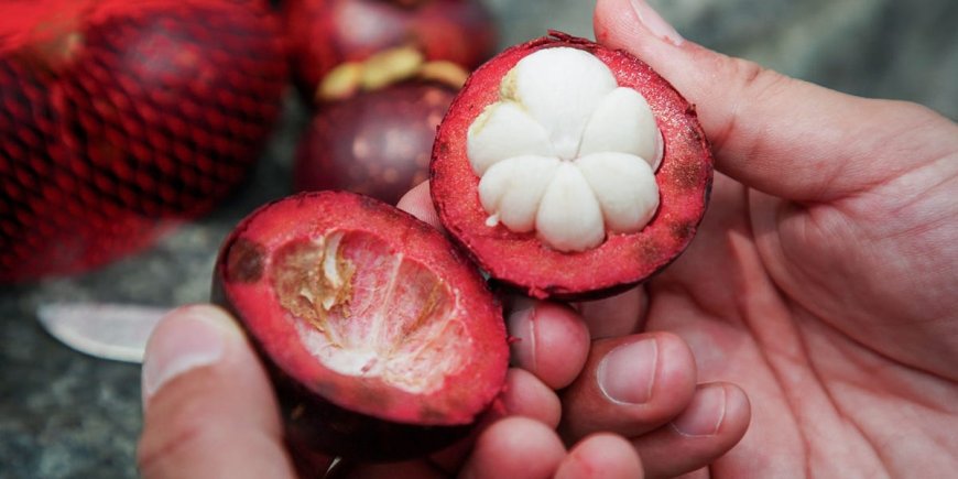 Why mangosteen, the viral TikTok fruit, is so expensive --[Reported by Umva mag]