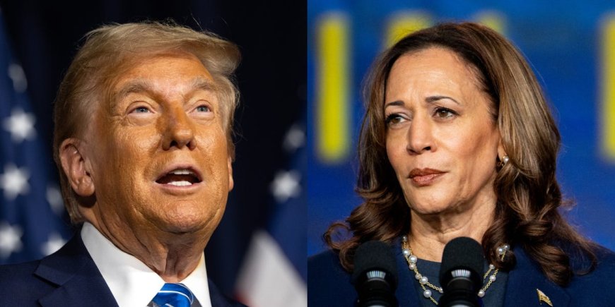 Trump attacks Harris' economic plans, says she 'wants to feed people governmentally' --[Reported by Umva mag]