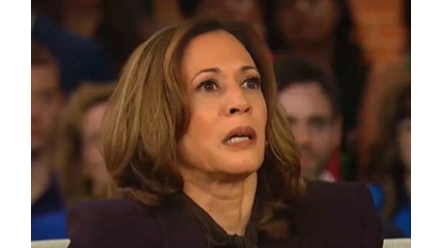 CNN Analyst: Deeper Look at Polls Shows Kamala Harris Win Would Be ‘Historically Unprecedented’ --[Reported by Umva mag]