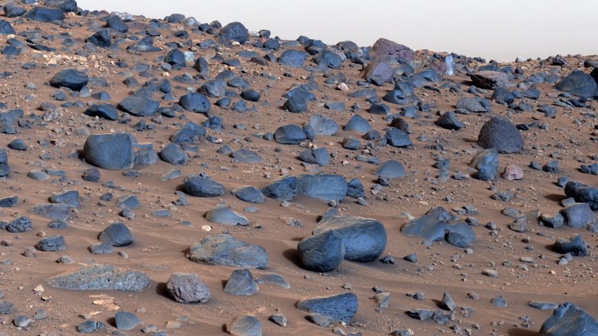 Remarkable images show eerie Mars landscape scattered with mysterious blue rocks --[Reported by Umva mag]