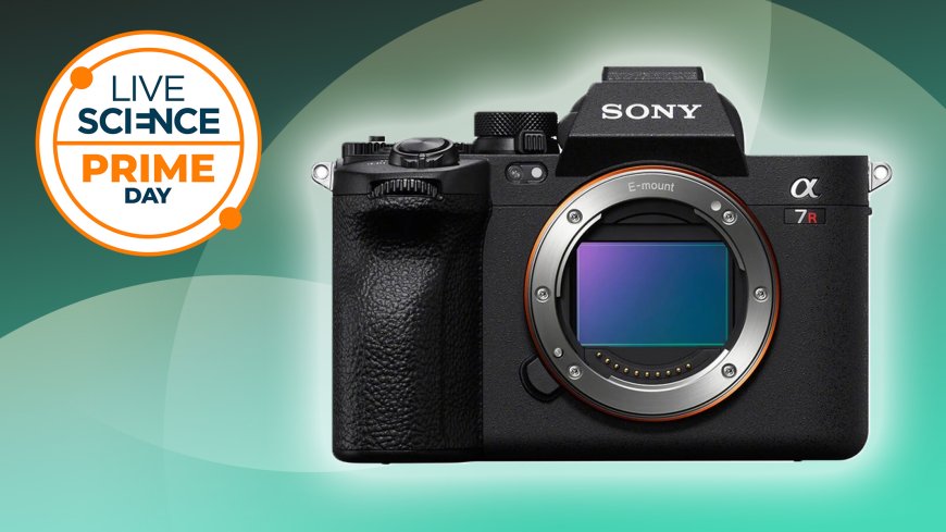 Better than Prime Day: This Sony camera deal at Walmart is huge! --[Reported by Umva mag]