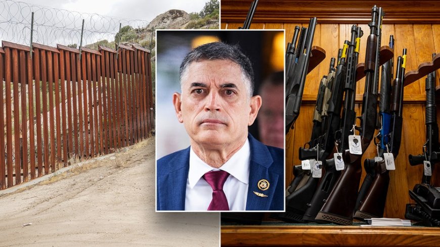 'No guns for illegal aliens' bill rolled out by House GOP lawmaker --[Reported by Umva mag]